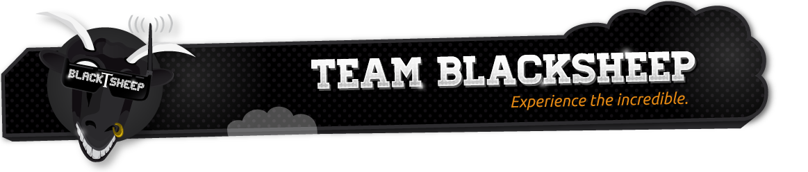 Team Black Sheep K{㗝Xł